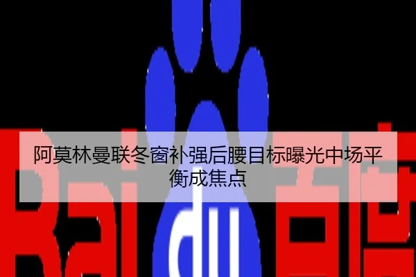 阿莫林曼联冬窗补强后腰目标曝光中场平衡成焦点